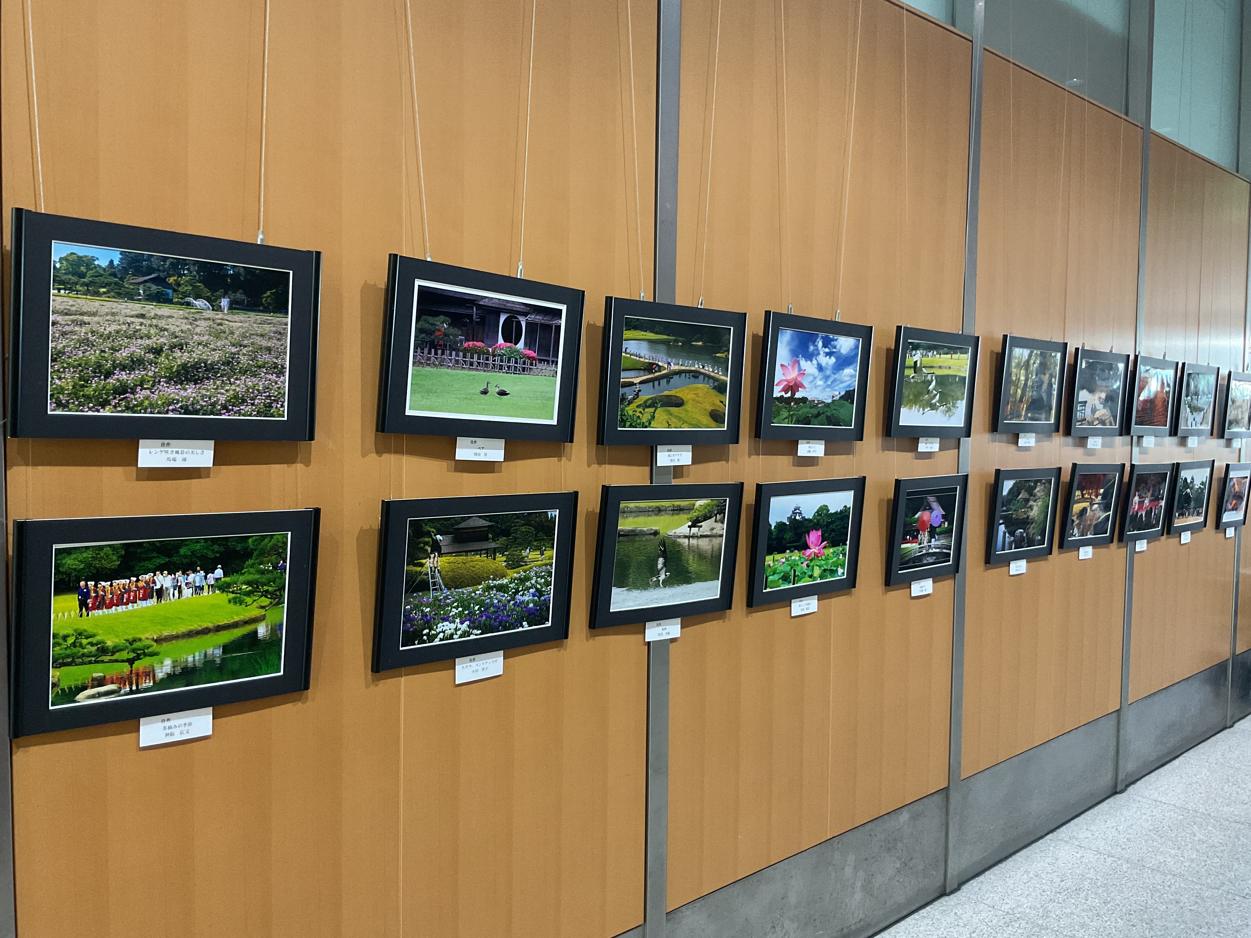 展示画像『第１４回岡山後楽園写真コンテスト」⼊賞作品』