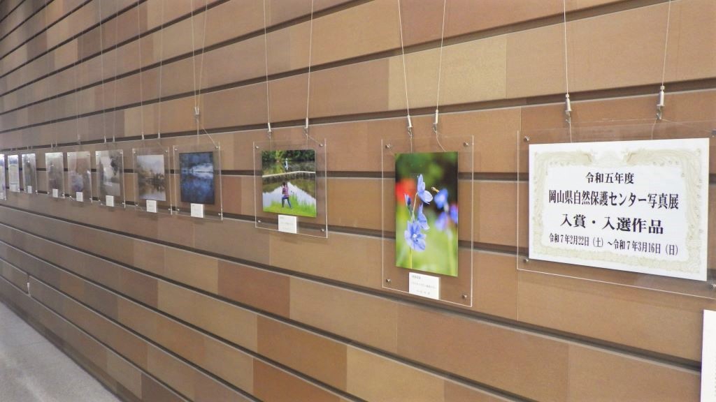 展示画像『第１６回岡山県自然保護センター写真コンテスト」⼊賞作品』