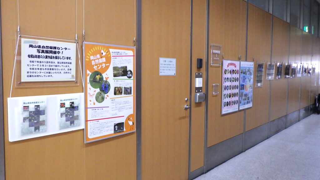 「令和６年度岡山県自然保護センター写真展　入賞・入選作品」展示画像3