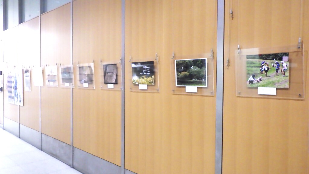 「令和６年度岡山県自然保護センター写真展　入賞・入選作品」展示画像4