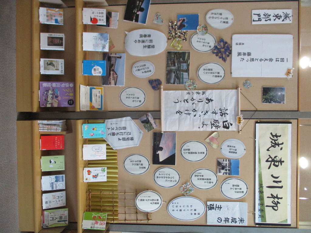 展示画像
