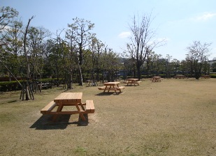 芝生広場